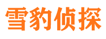 泸州外遇出轨调查取证